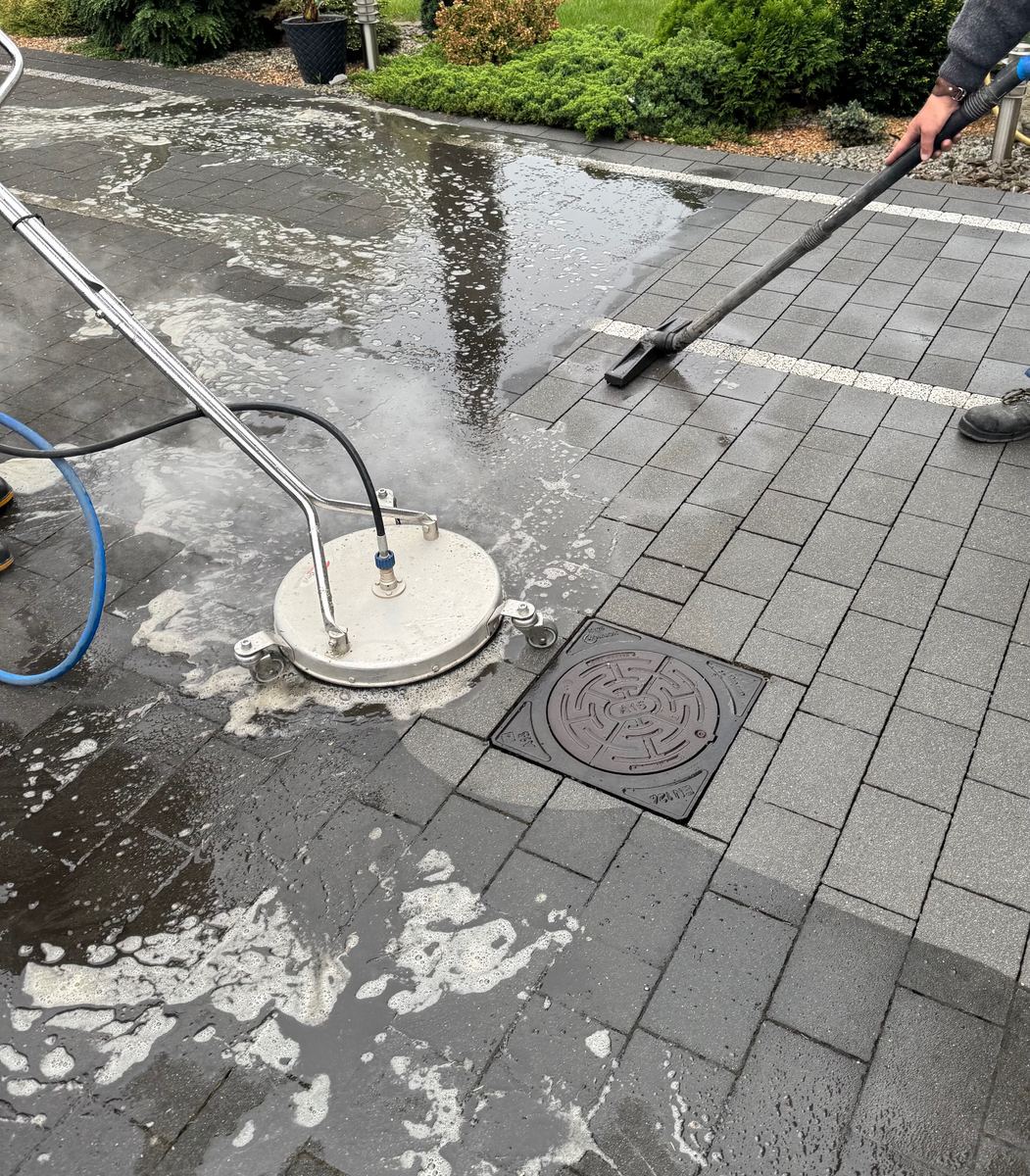 Profesjonalna chemia grzybobójcza do czyszczenia