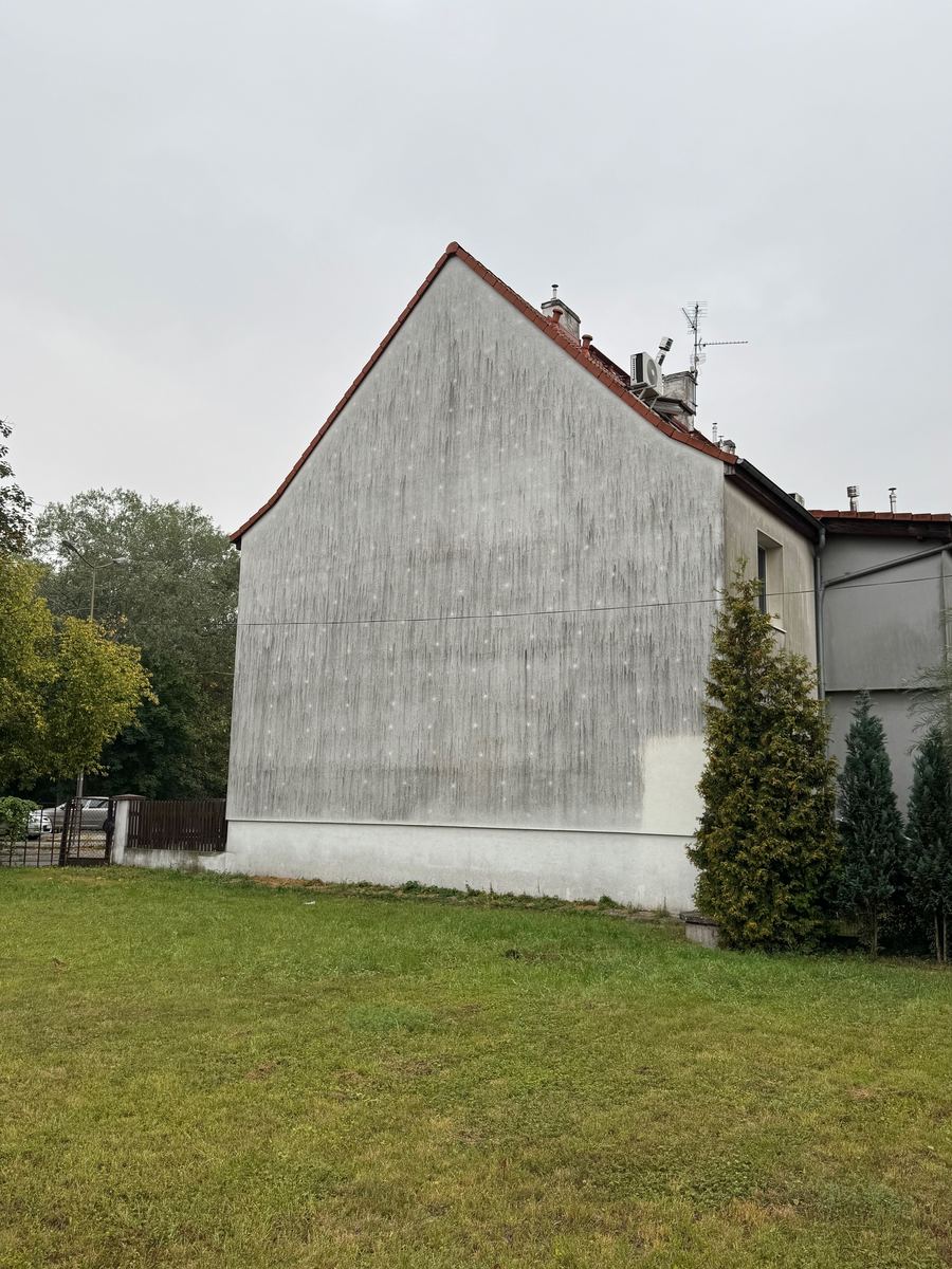 Elewacja przed czyszczeniem — widoczne zabrudzenia